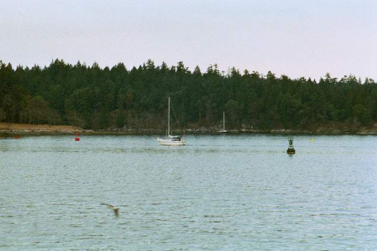 Port and Starboard Buoys: There is a channel to the left.and the harbour and open sea to the right.The person at the helm of the  boat keeps the red to the right and the green to the left coming from seaward. 